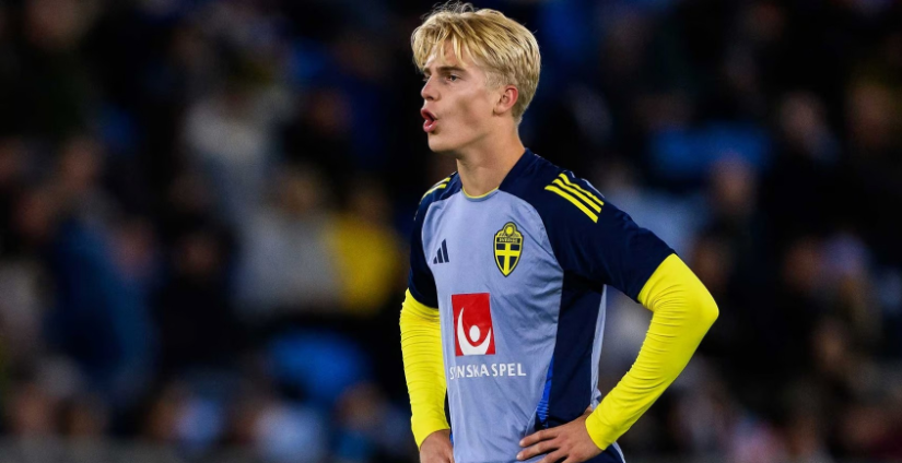 势必为他们 势必为他们