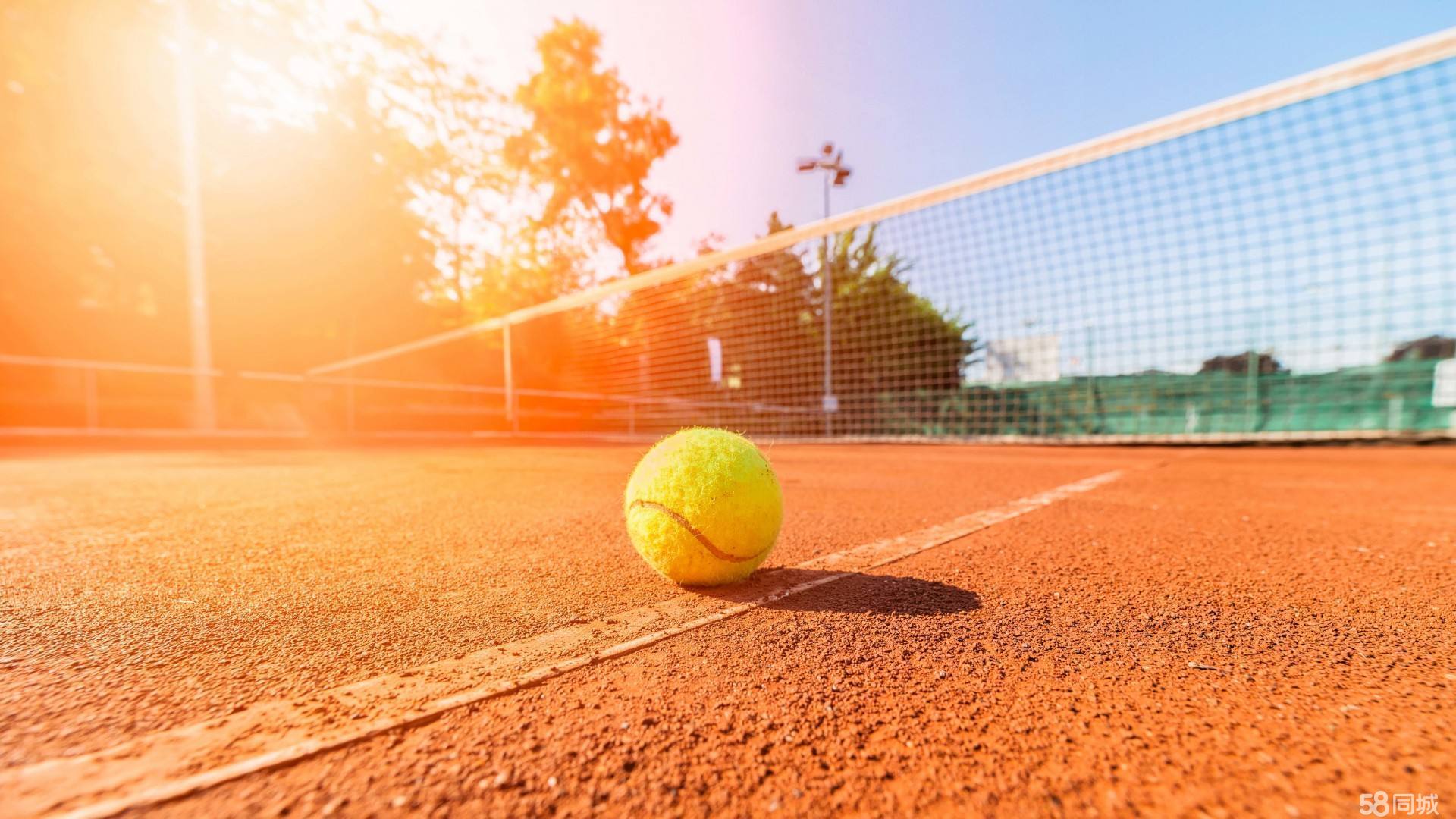 这在本赛季 这在本赛季