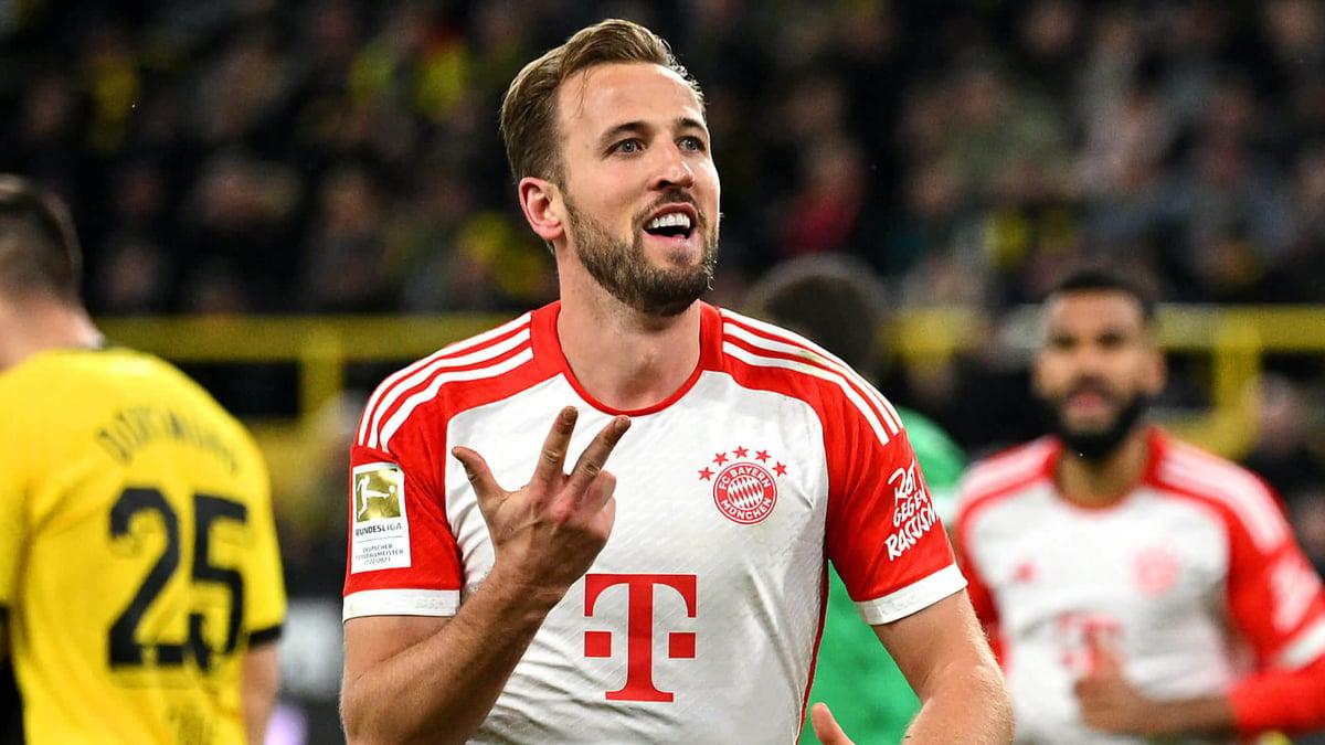 会员无论是 会员无论是